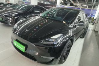 特斯拉 Model Y 2021款 长续航全轮驱动版