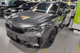 岚图汽车 岚图FREE 2025款 318 318km 后驱环游版