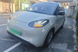 五菱汽车 五菱缤果 2023款 333km 悦享款