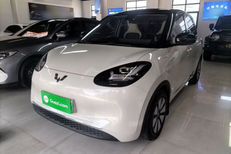 五菱汽车 五菱缤果 2023款 333km 灵犀互联+款