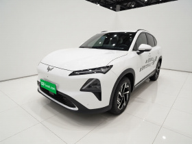 五菱汽车 五菱星光S 2024款 130km 旗舰型