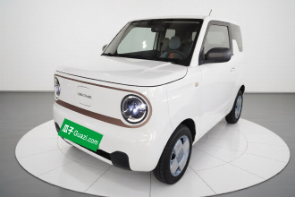 吉利银河 2024款 熊猫mini 200km 耐力熊