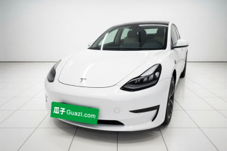 特斯拉 Model 3 2020款 改款 标准续航后驱升级版