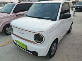 吉利银河 2024款 熊猫mini 200km 耐力熊