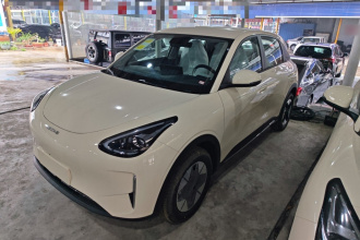 吉利银河 星愿 2026款 310km 梦想版