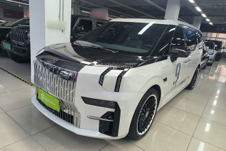 极氪009 2022款 WE版