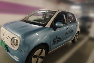 欧拉黑猫 2021款 301km 基础型
