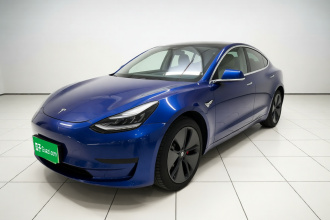 特斯拉 Model 3(进口) 2019款 长续航后驱版