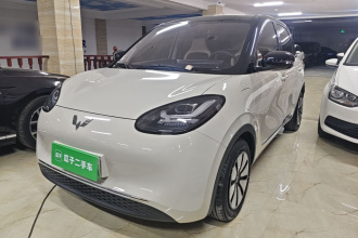 五菱汽车 五菱缤果 2024款 333km 悦享款
