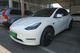 特斯拉 Model Y 2022款 Performance高性能全轮驱动版