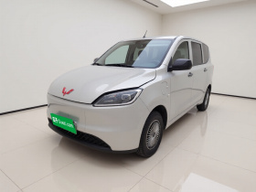 五菱汽车 五菱宏光新能源 2024款 纯电版 300KM 标准型