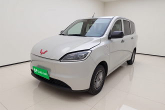 五菱汽车 五菱宏光新能源 2024款 纯电版 300KM 标准型