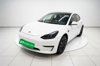 特斯拉 Model 3 2021款 标准续航后驱升级版 3D6