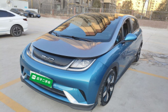 比亚迪 海豚 2021款 401km 骑士版