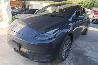 特斯拉 Model Y 2021款 改款二 长续航全轮驱动版