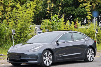 特斯拉 Model 3(进口) 2019款 Performance高性能全轮驱动版