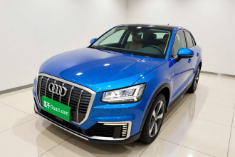 奥迪Q2L e-tron 2019款 Q2L e-tron 纯电智享型