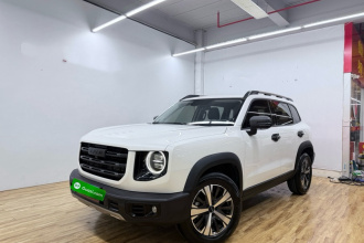 哈弗大狗 2021款 1.5T DCT两驱拉布拉多版