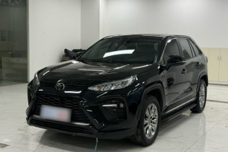 丰田 威兰达 2020款 2.0L CVT两驱豪华版