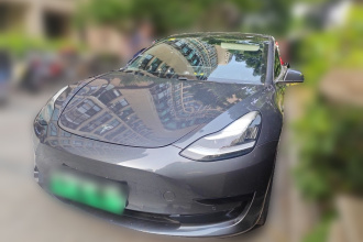 特斯拉 Model 3 2019款 标准续航后驱升级版