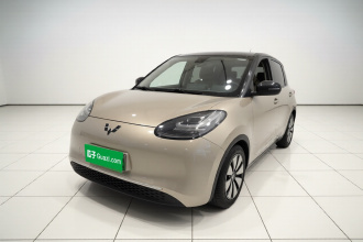 五菱汽车 五菱缤果 2023款 203km 舒享款