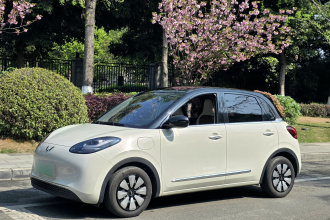 五菱汽车 五菱缤果 2023款 410km 灵犀尊享款