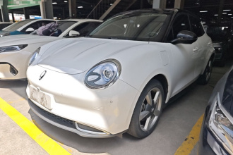 欧拉好猫 2021款 400km标准续航 雅典娜版 磷酸铁锂