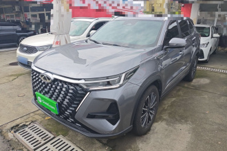 奇瑞 瑞虎8 PRO 2024款 冠军版 290T 两驱巅峰版 7座