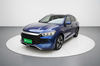 比亚迪 宋Pro新能源 2023款 冠军版 DM-i 110KM卓越型