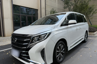 广汽传祺 传祺M8 2023款 领秀系列 390T 尊享版