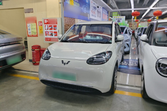 五菱汽车 五菱缤果 2024款 333km 悦享款
