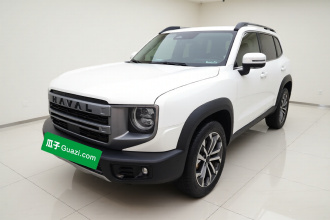 哈弗大狗 2024款 1.5T DCT边牧版