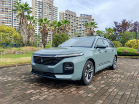 宝骏Valli 2021款 1.5T 那曲繁星 CVT旗舰型