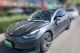 特斯拉 Model 3 2020款 改款 长续航后轮驱动版