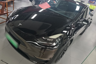 特斯拉 Model Y 2021款 标准续航后驱版