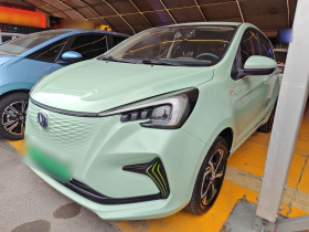 长安 奔奔E-Star 2022款 国民版 多彩限量款（快充版）三元锂