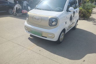 奔腾小马 2025款 222km 闪电马