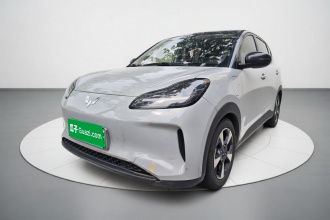 五菱汽车 五菱缤果PLUS 2024款 510km 旗舰版 四座版