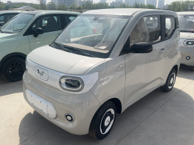 五菱汽车 宏光MINIEV 2024款 第三代 215km 青春版