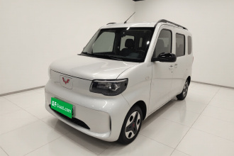 五菱汽车 五菱之光新能源 2025款 305km 进取型