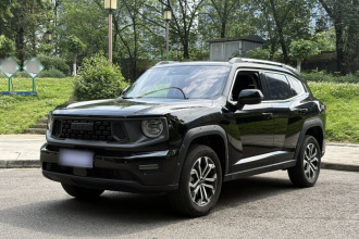 哈弗大狗 PLUS 2023款 2.0T 两驱潮野版Plus