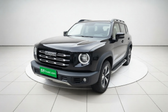 哈弗大狗 2021款 1.5T DCT两驱拉布拉多版