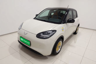 五菱汽车 五菱缤果 2023款 203km 轻享款