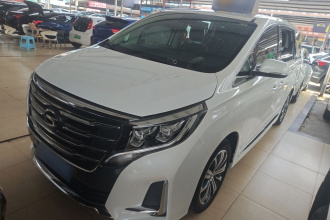 广汽传祺 传祺M8 2020款 领航款 390T 尊贵版