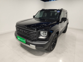 哈弗猛龙新能源 2024款 Hi4 102 Pro