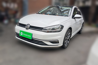 大众 高尔夫 2018款  230TSI 自动豪华型