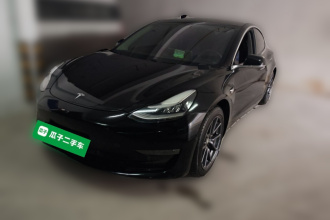 特斯拉 Model 3(进口) 2019款 长续航后驱版