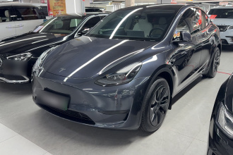 特斯拉 Model Y 2024款 后轮驱动版