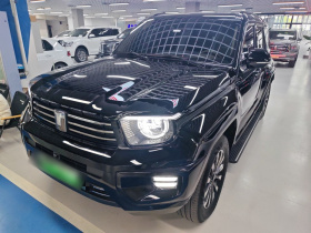 坦克700新能源 2024款 Hi4-T 极境版