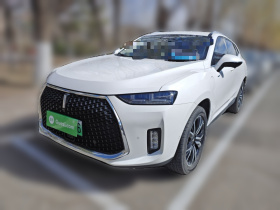 魏牌 P8 2018款 2.0T 旗舰型